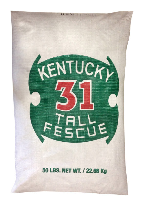 BARENBRUG USA INC, Barenbrug Kentucky 31 Tall Fescue Grass Seed 50 lb.