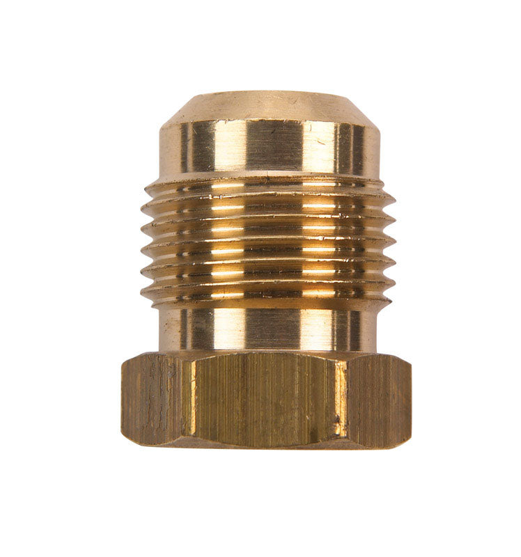 JMF COMPANY, JMF 1/4 in. Flare Yellow Brass Hex Plug (Pack of 5)