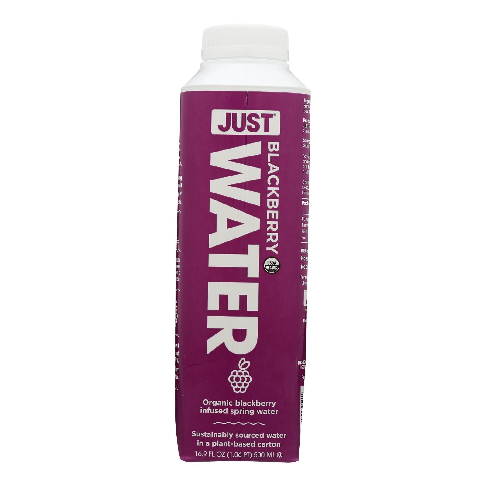 Just Water, Just Water - Water Blkbry Infused - Case of 12 - 16.9 FZ (Pack of 12)