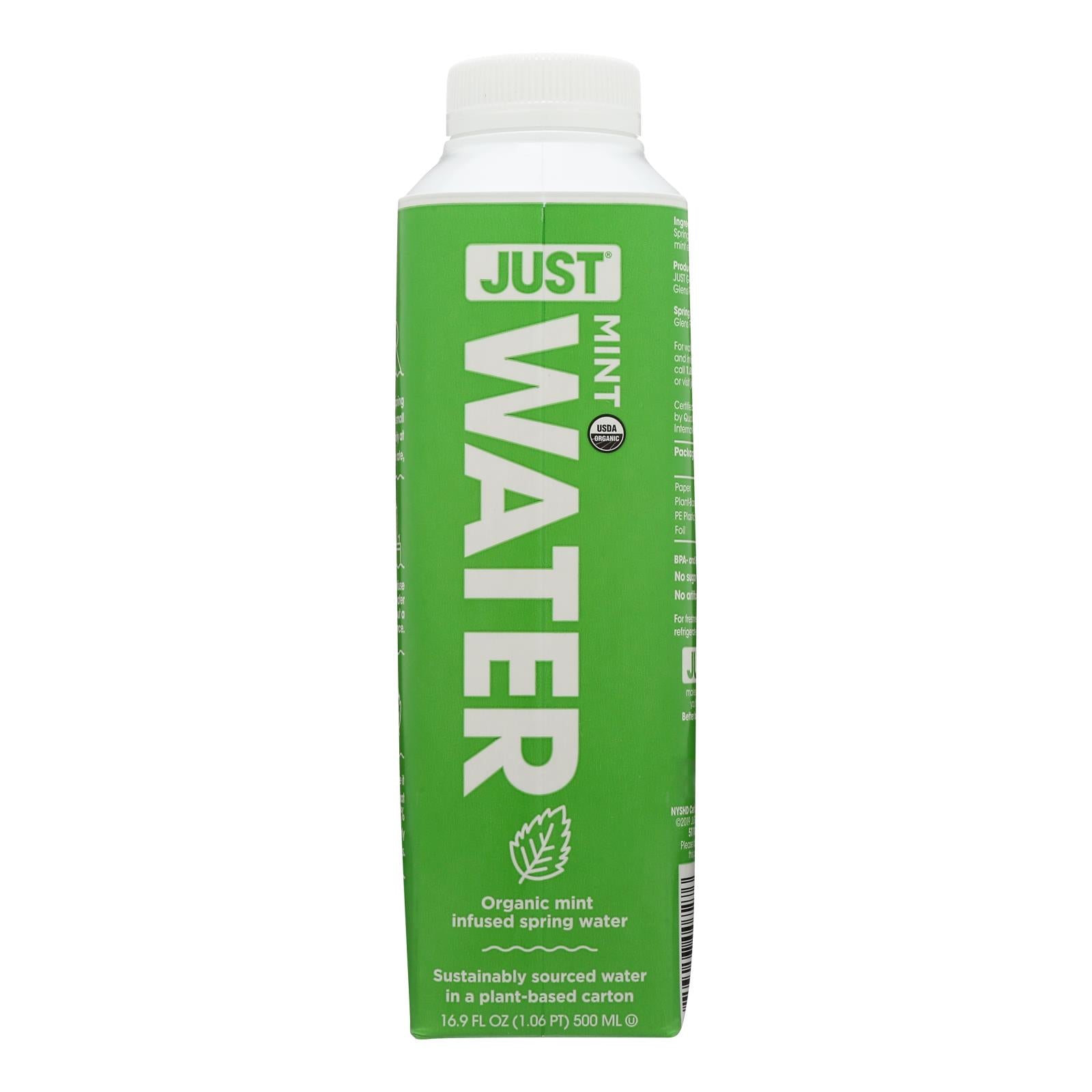 Just Water, Just Water - Water Mint Infused - Case of 12 - 16.9 FZ (Pack of 12)