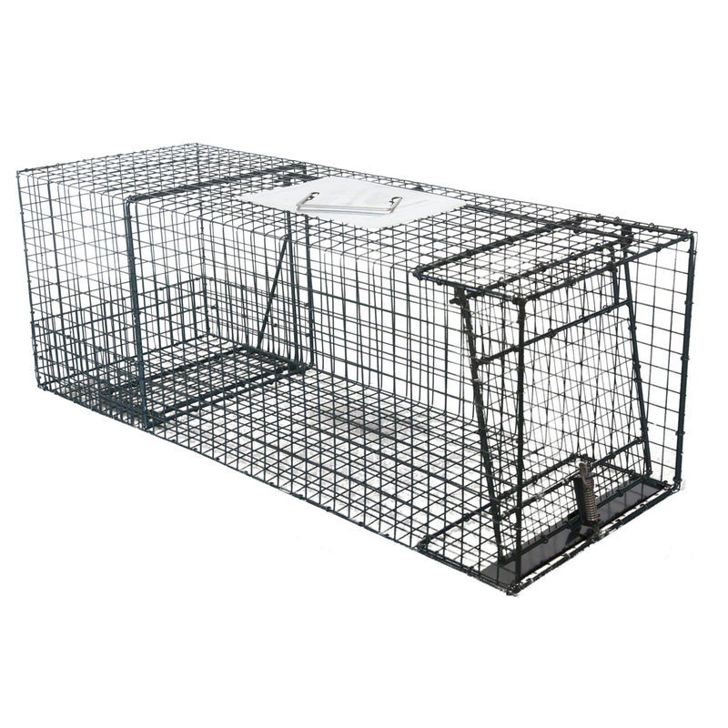 JENSEN DISTRIBUTIONS SERVICES, Kness Cage Trap For Raccoons 1 pk